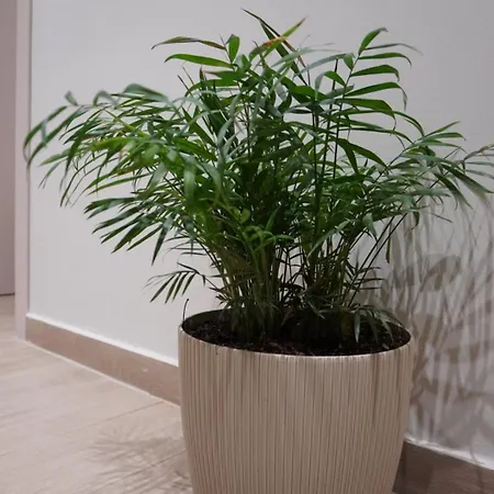 Ionian Blue 4 Himarë